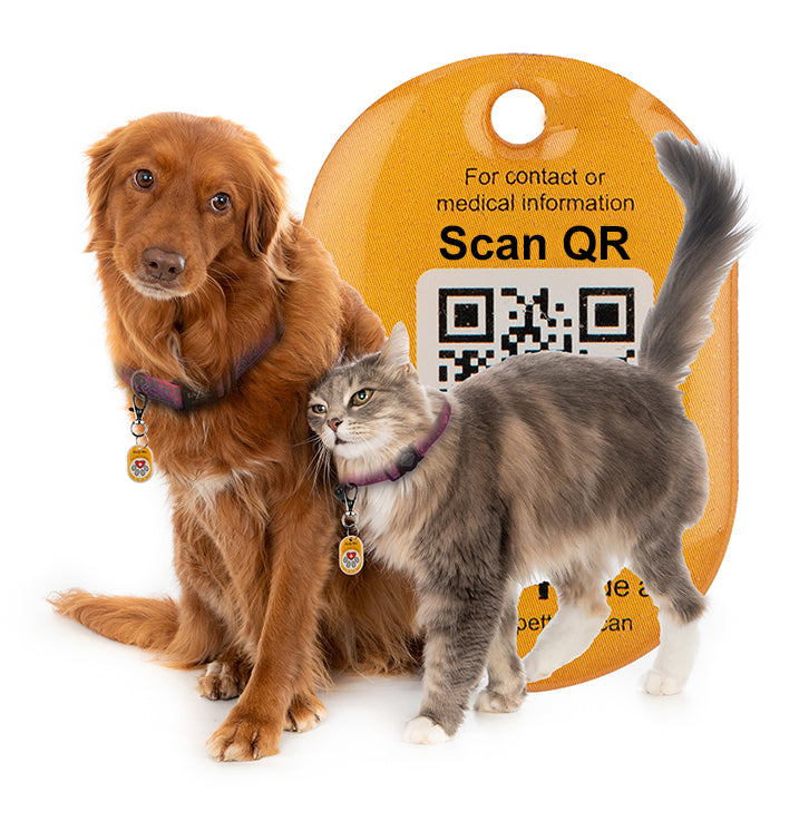 Genie Pet Tag Oval
