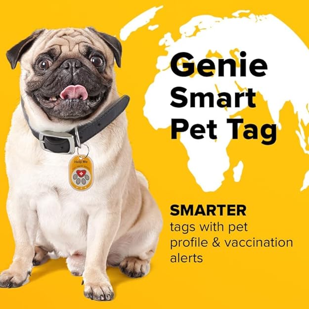 Genie Pet Tag Oval